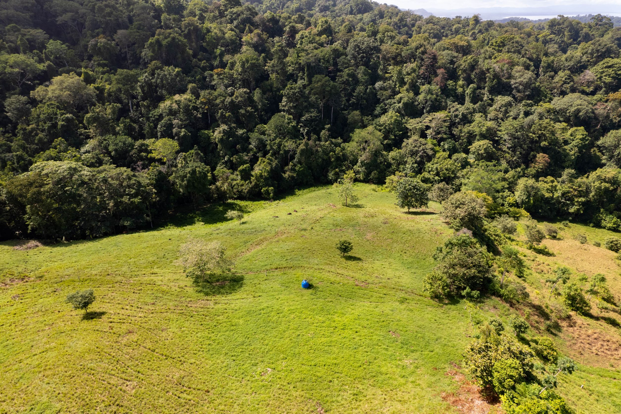 0 bed Land For Sale in Uvita, Puntarenas - thumb 8