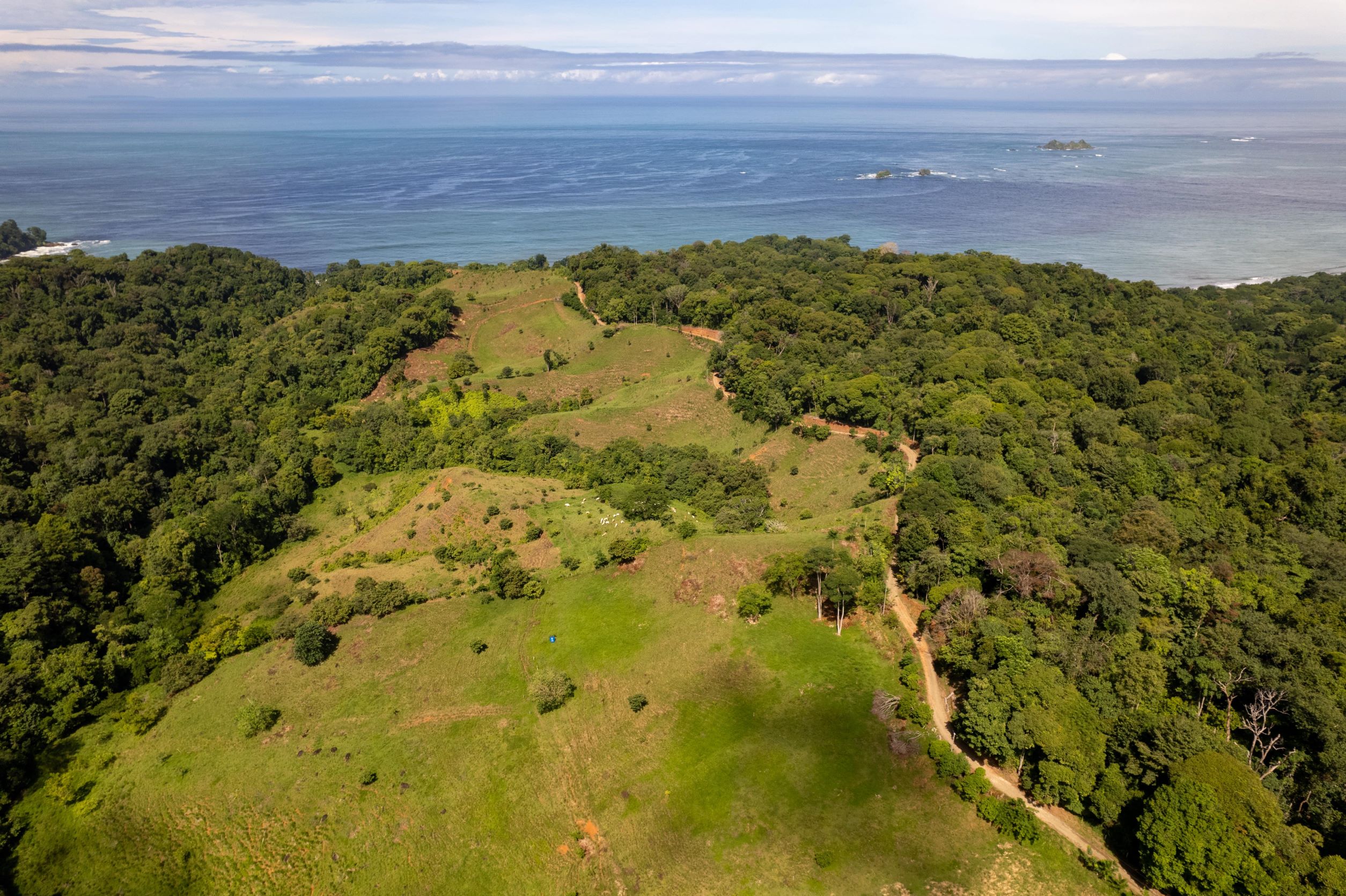 0 bed Land For Sale in Uvita, Puntarenas - thumb 1
