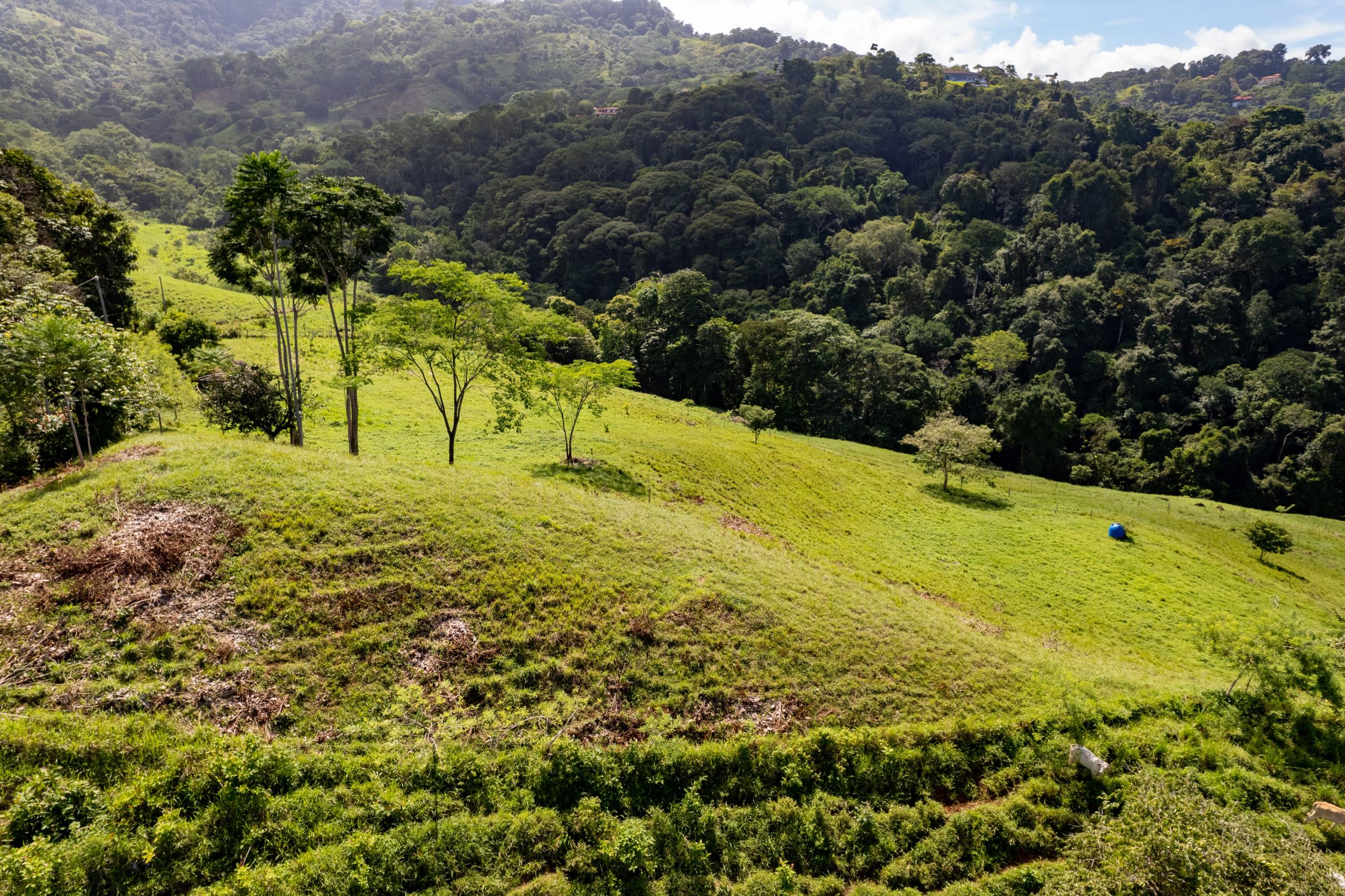 0 bed Land For Sale in Uvita, Puntarenas - thumb 7