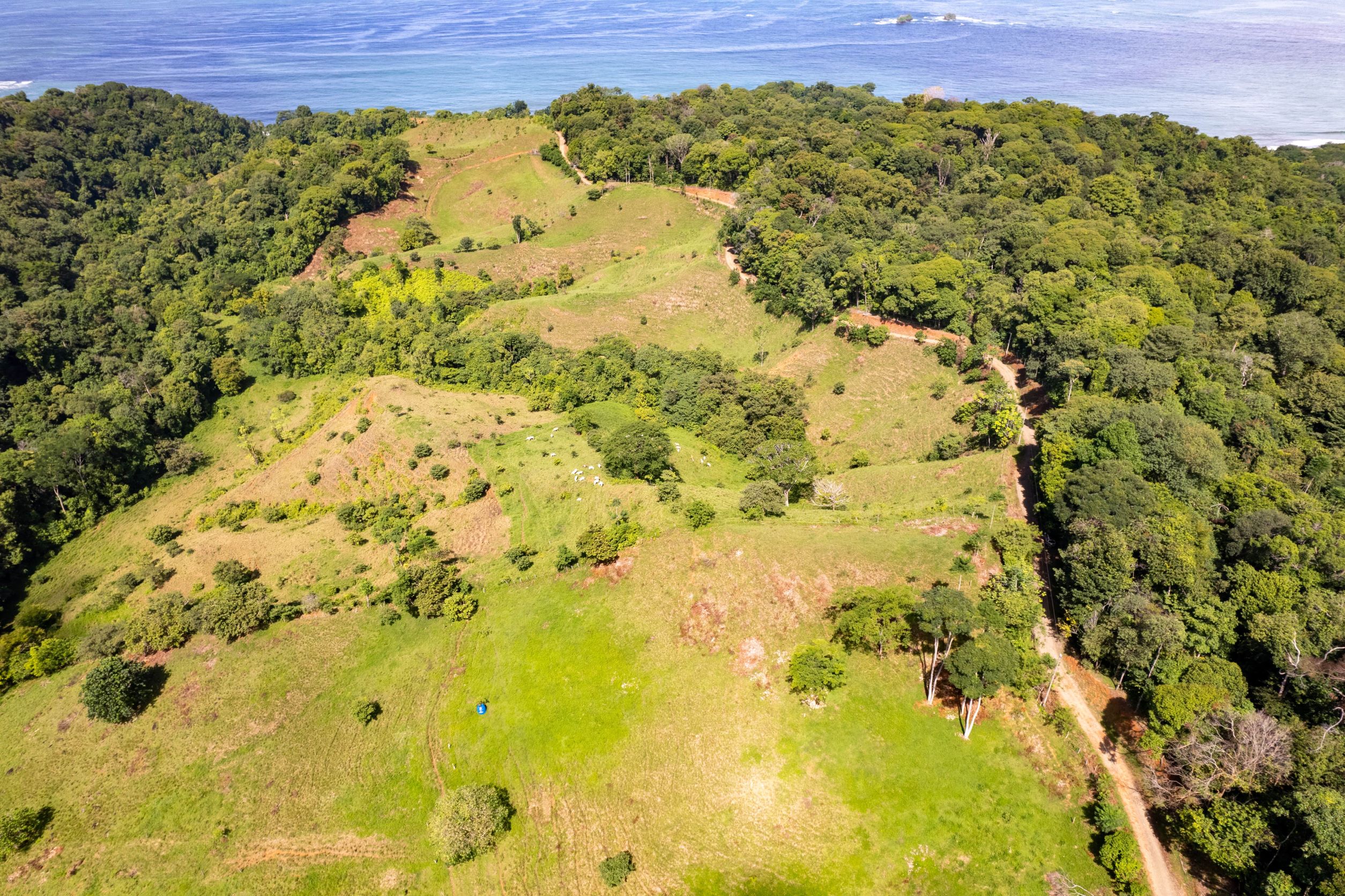 0 bed Land For Sale in Uvita, Puntarenas - thumb 5