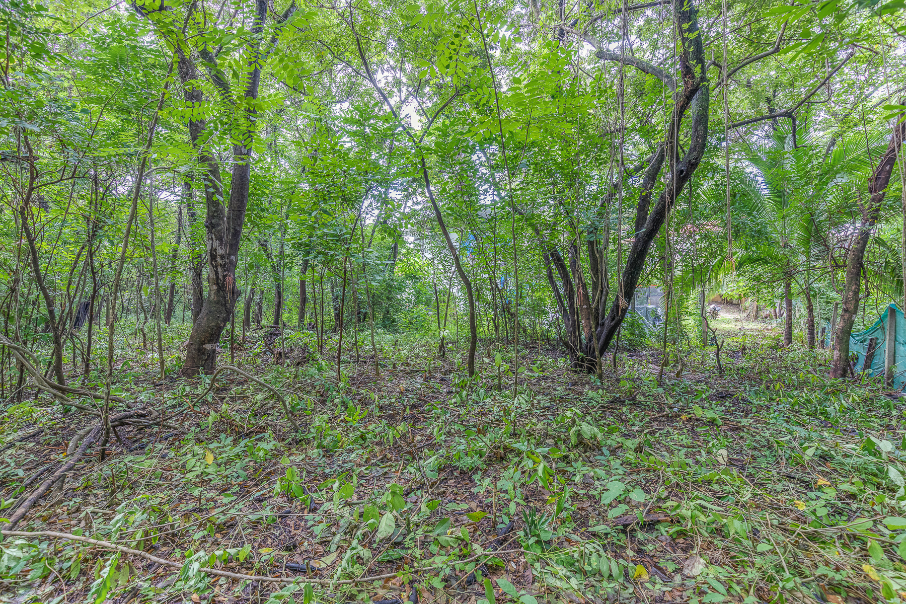 0 bed Land For Sale in Playa Pelada, Guanacaste - thumb 4