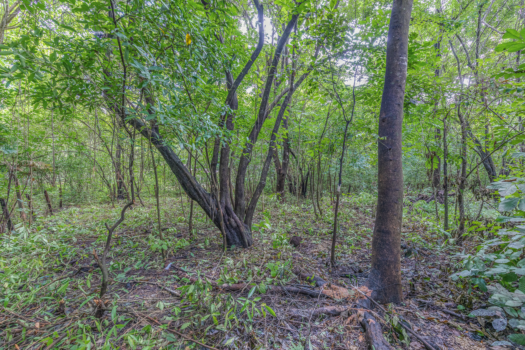 0 bed Land For Sale in Playa Pelada, Guanacaste - thumb 3
