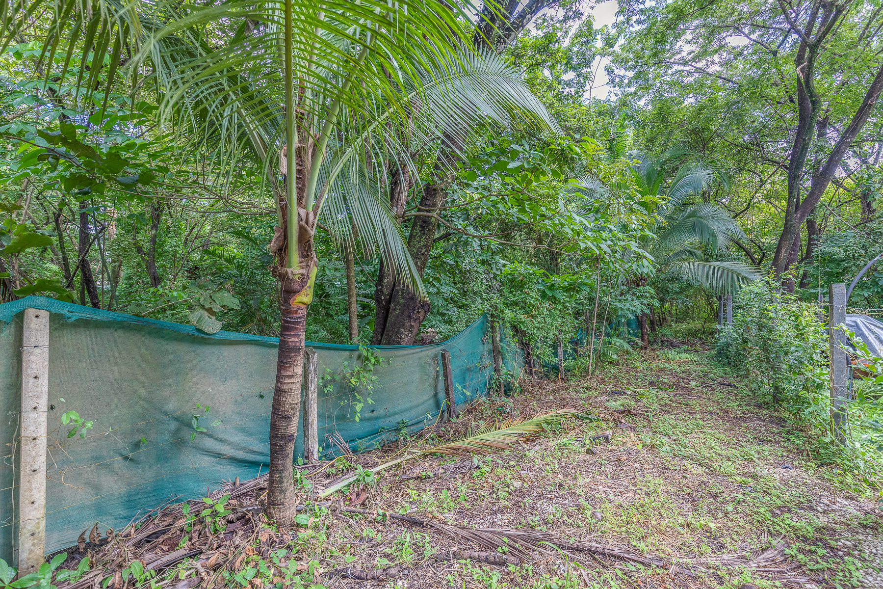 0 bed Land For Sale in Playa Pelada, Guanacaste - thumb 2