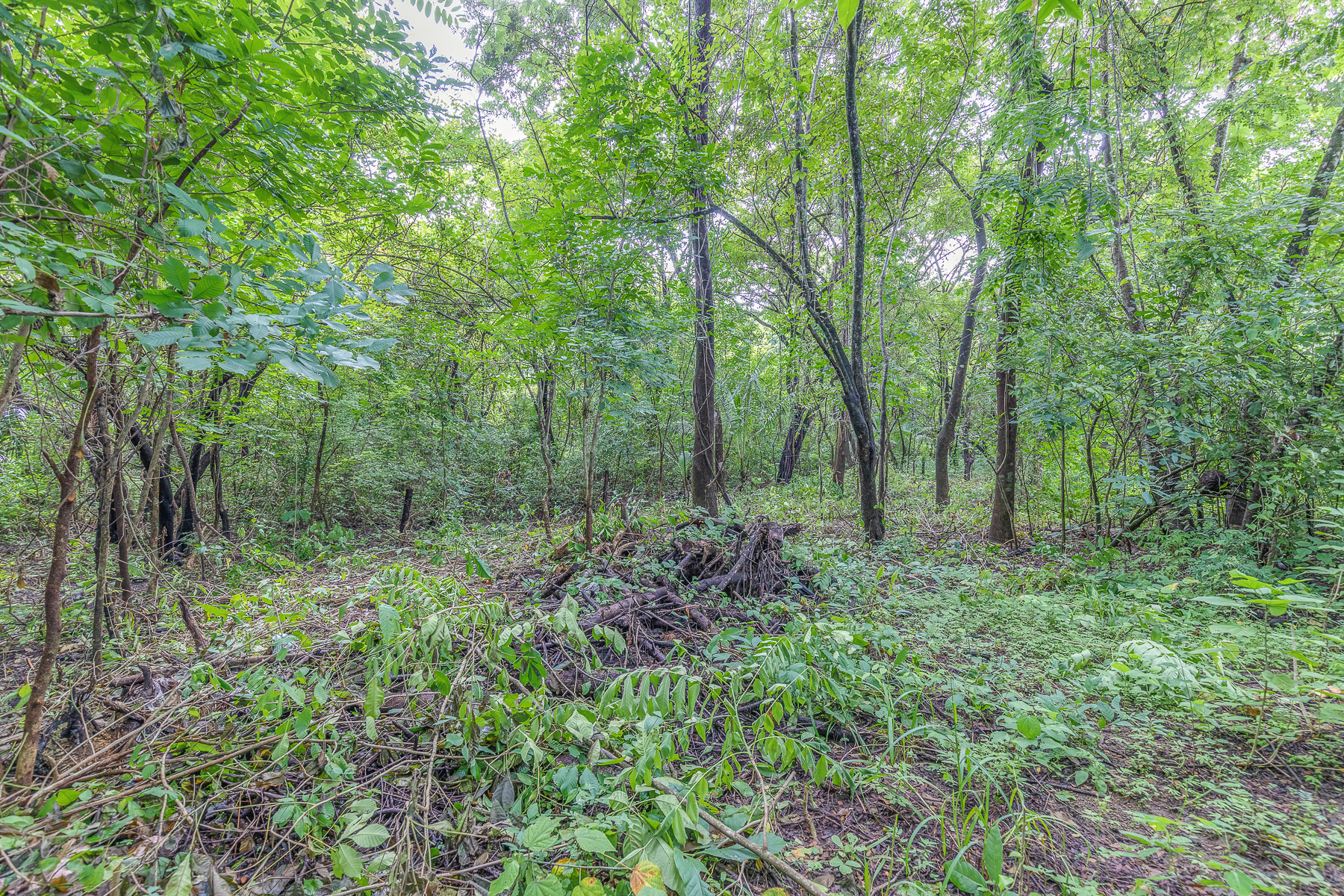 0 bed Land For Sale in Playa Pelada, Guanacaste - thumb 6