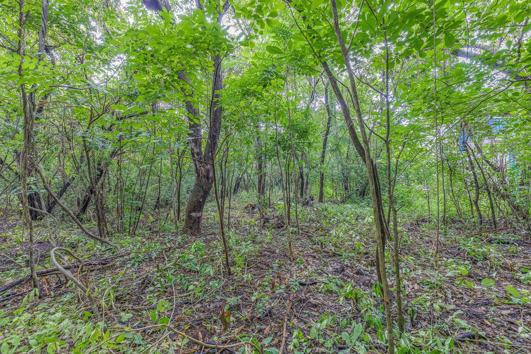 0 bed Land For Sale in Playa Pelada, Guanacaste - thumb 5