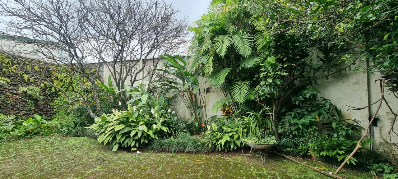 3 bed Single Family Homes For Sale in Los Yoses, San Jose - thumb 10