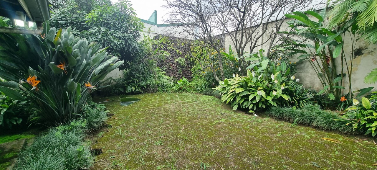 3 bed Single Family Homes For Sale in Los Yoses, San Jose - thumb 9