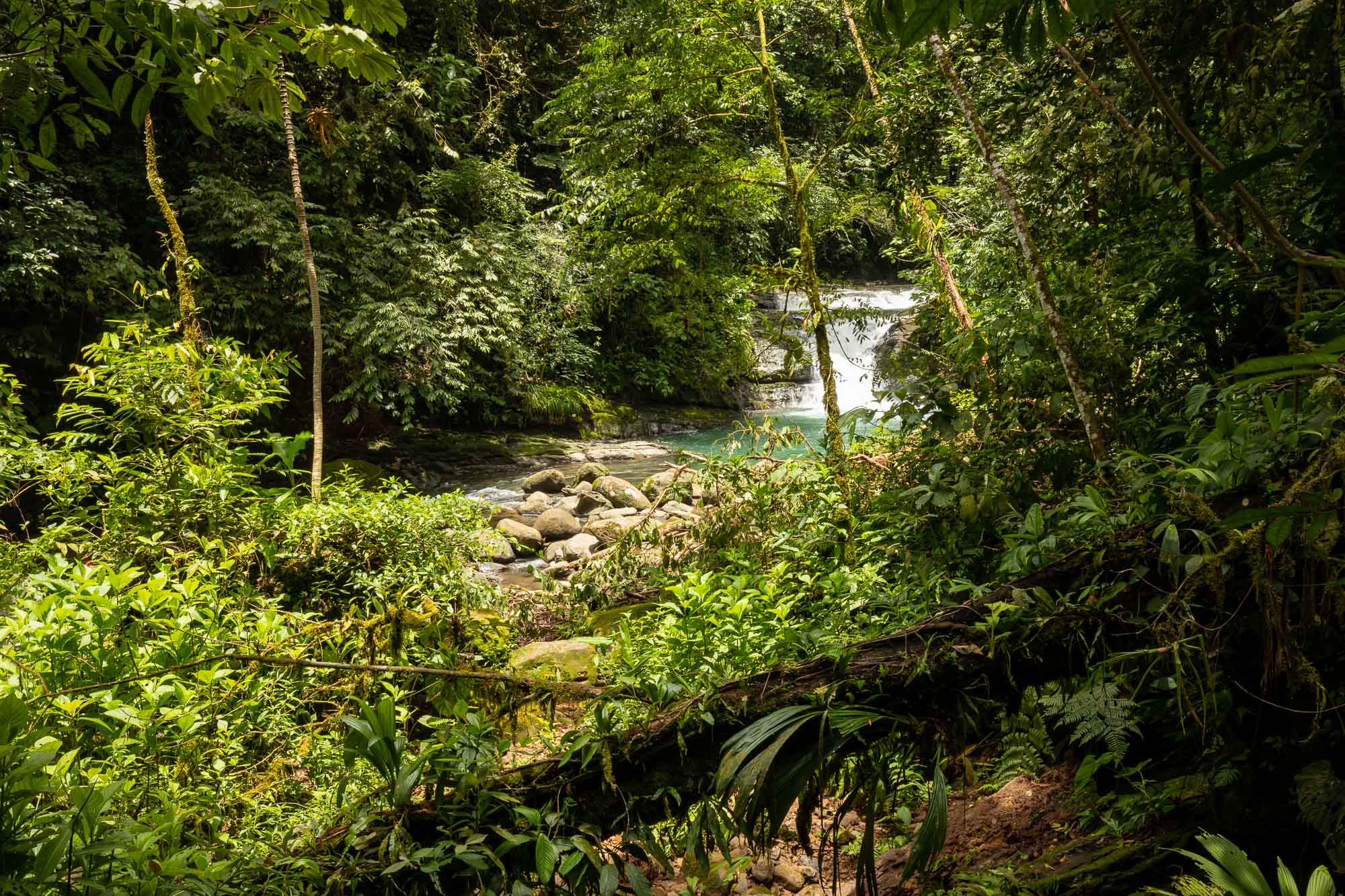 0 bed Land For Sale in Uvita, Puntarenas - thumb 5