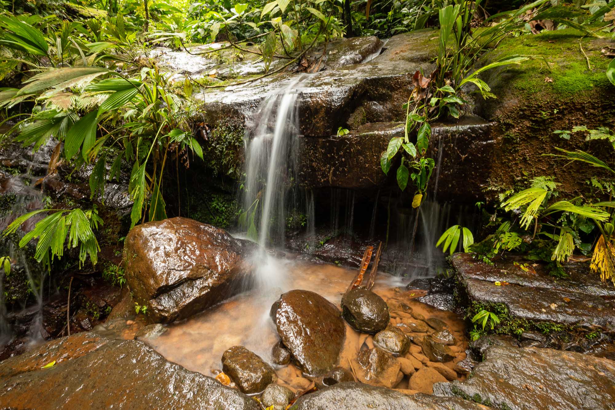 0 bed Land For Sale in Uvita, Puntarenas - thumb 4