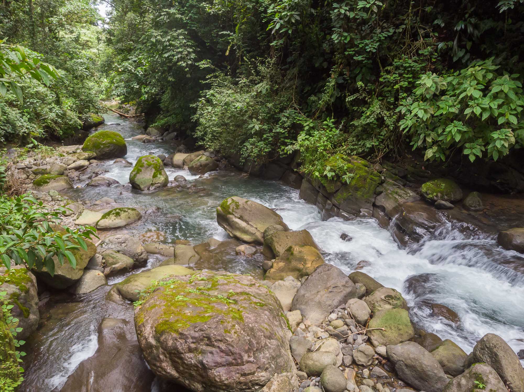 0 bed Land For Sale in Uvita, Puntarenas - thumb 15