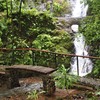  - River, Easy Access, Waterfall, Jungle, Security, Privacy 3 Bedroom House