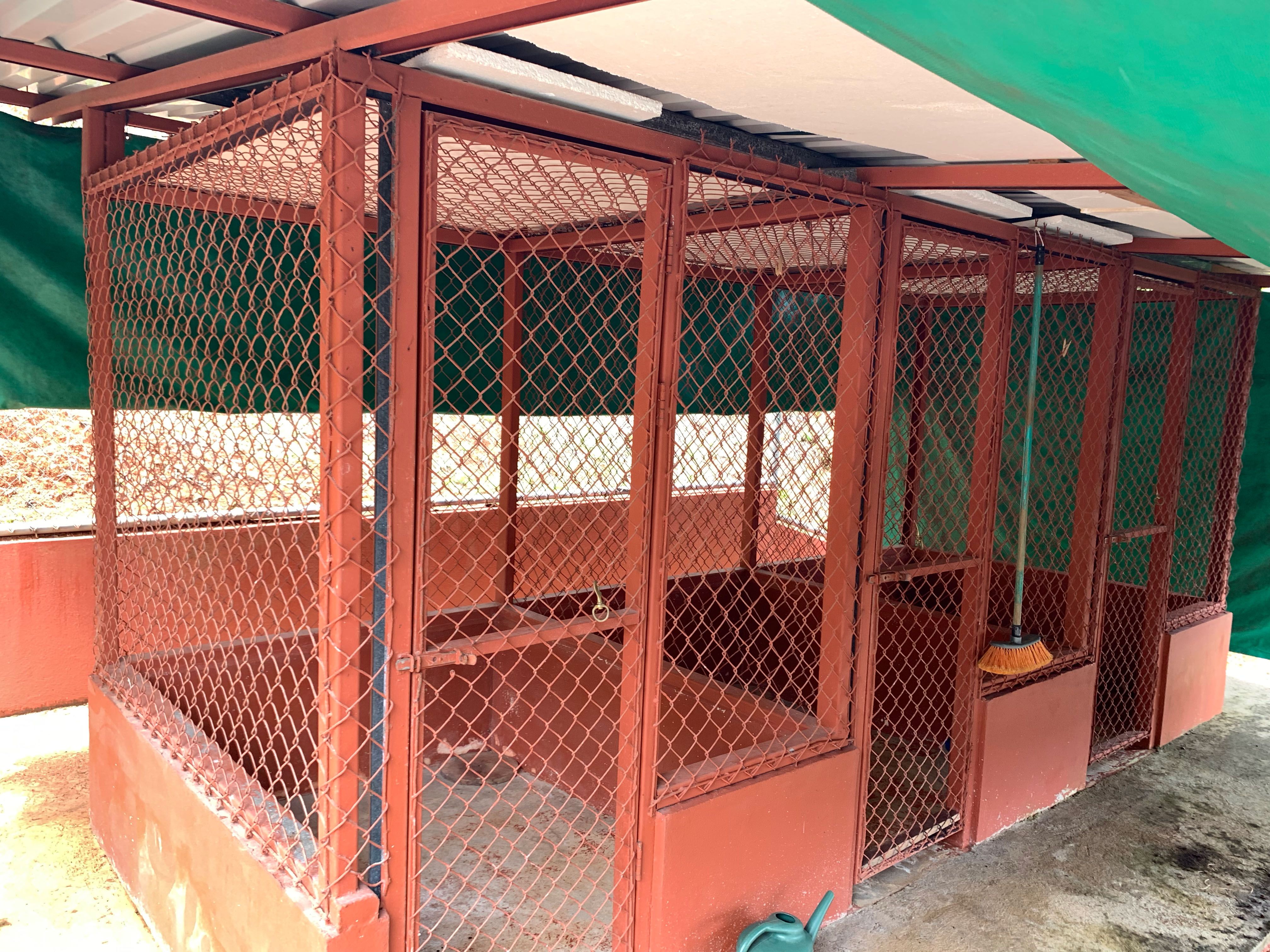 1 bed Single Family Homes For Sale in Dominical, Puntarenas - thumb 24