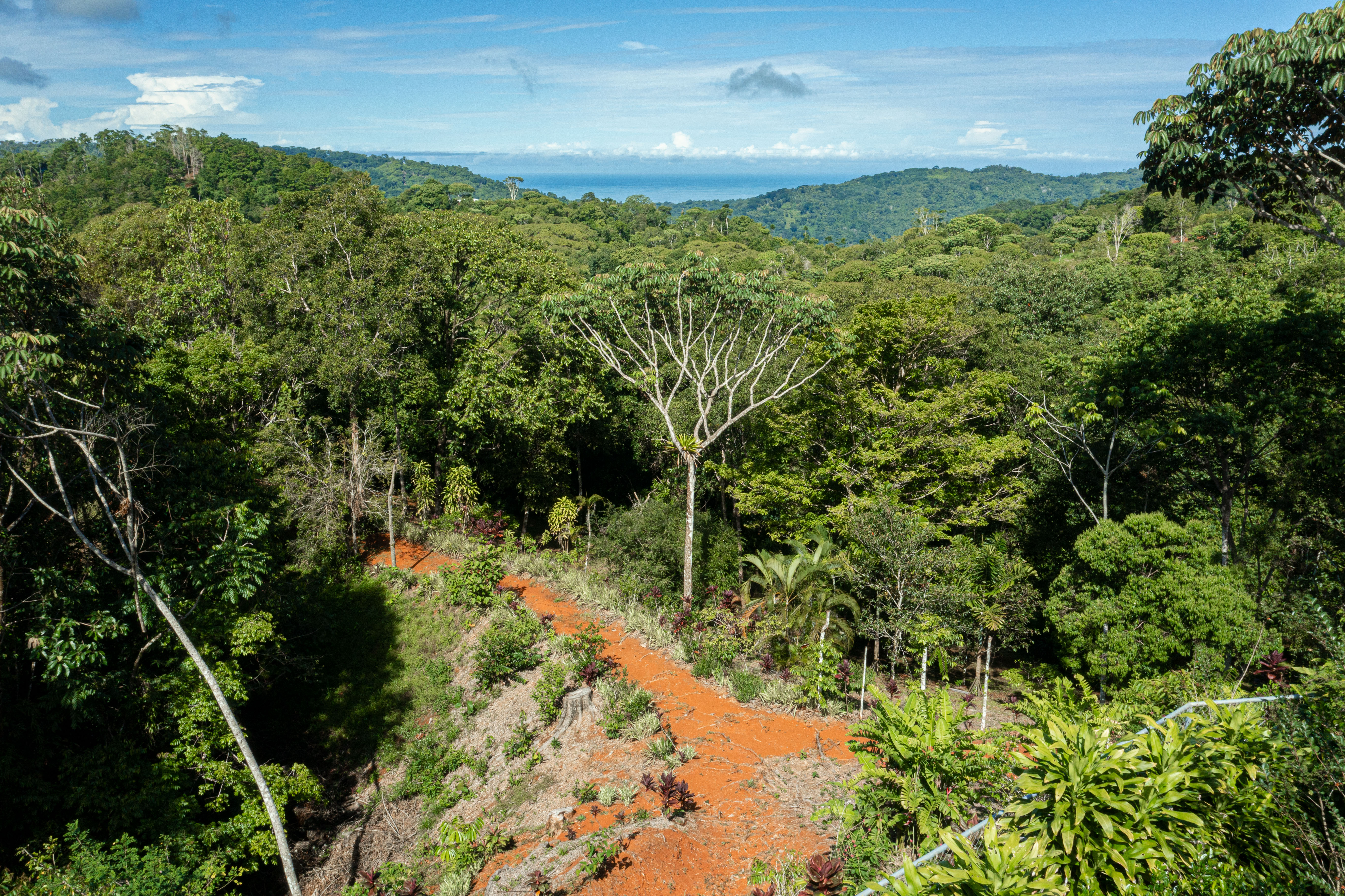 1 bed Single Family Homes For Sale in Dominical, Puntarenas - thumb 27