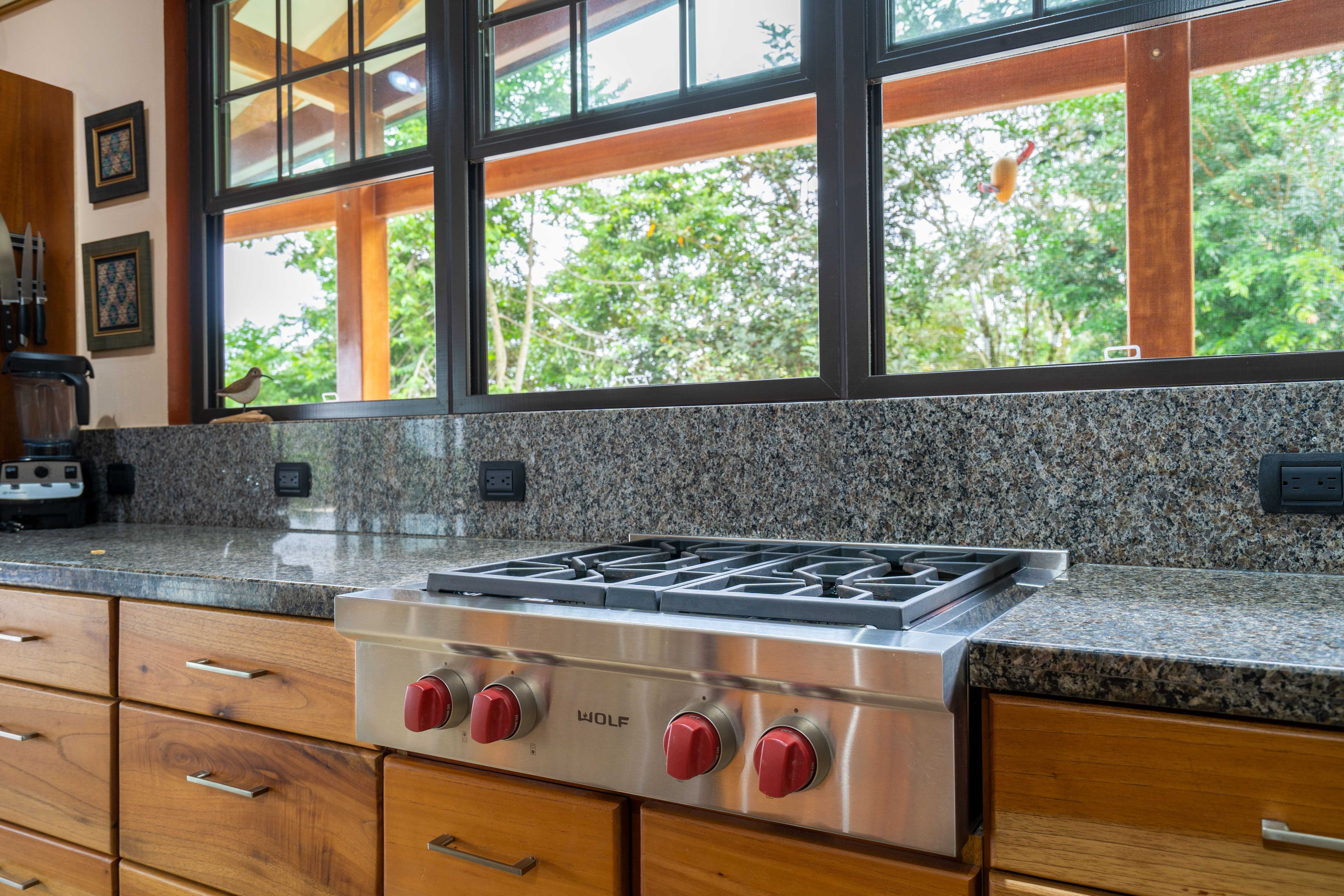 1 bed Single Family Homes For Sale in Dominical, Puntarenas - thumb 13