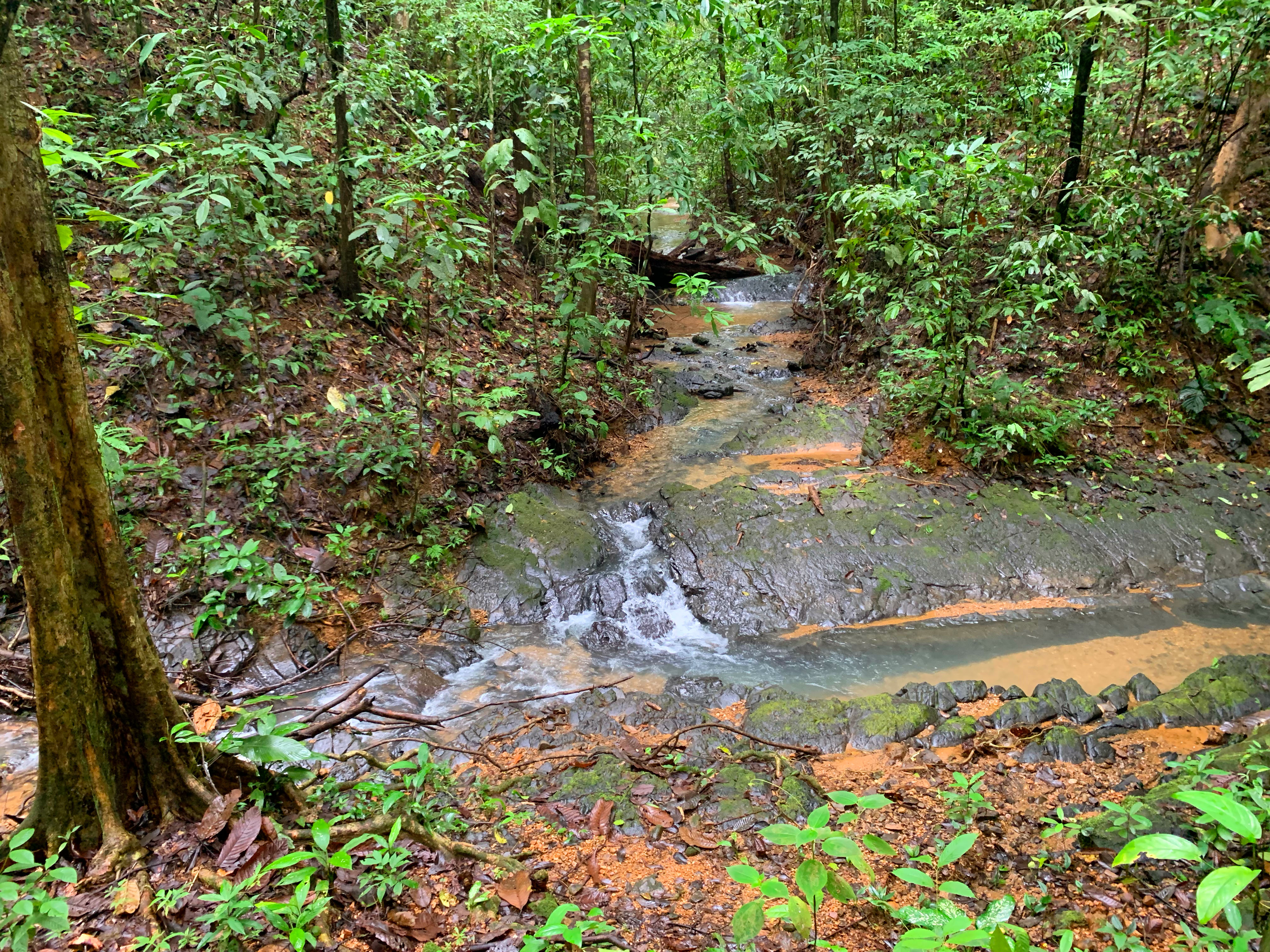 1 bed Single Family Homes For Sale in Dominical, Puntarenas - thumb 28