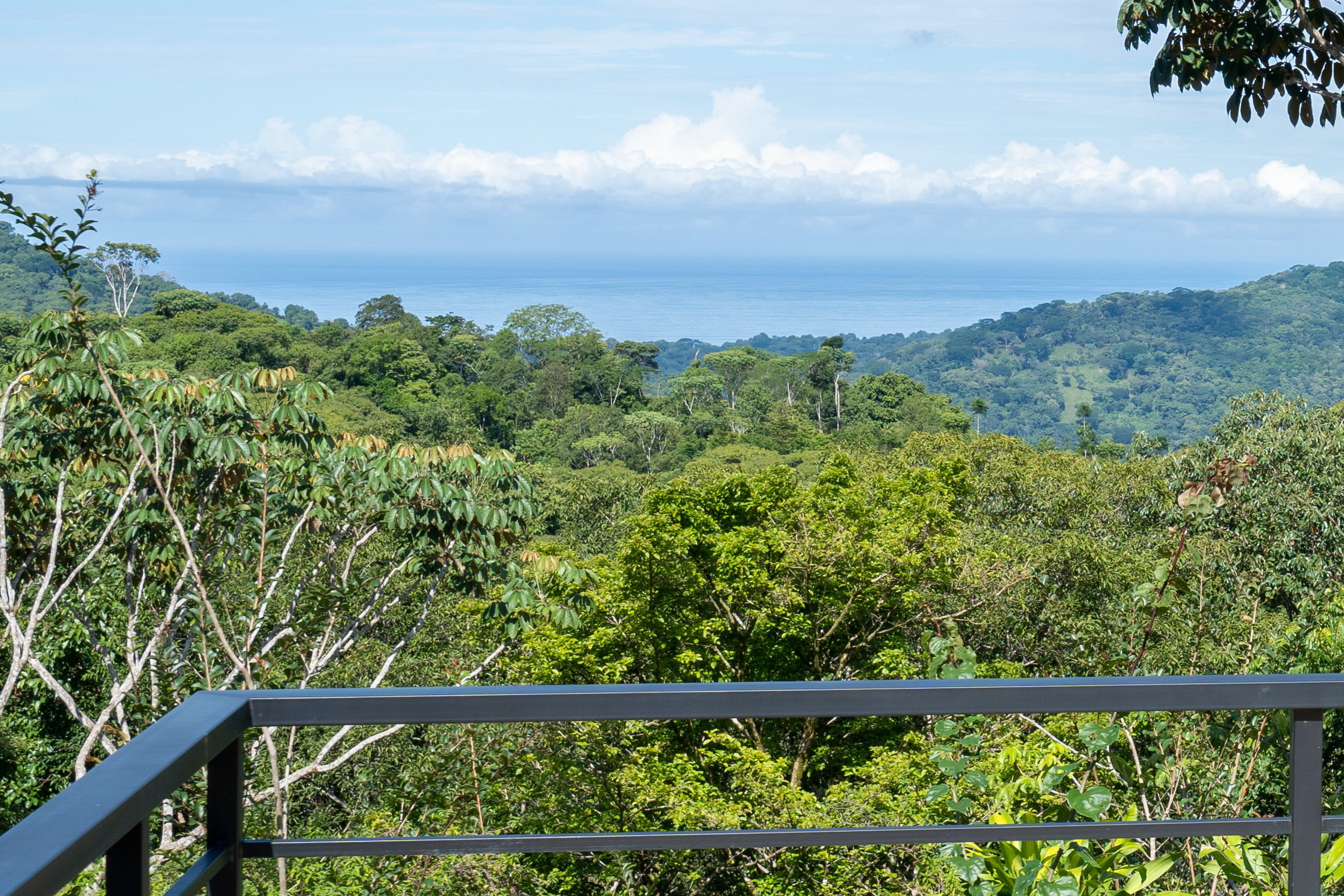 1 bed Single Family Homes For Sale in Dominical, Puntarenas - thumb 26