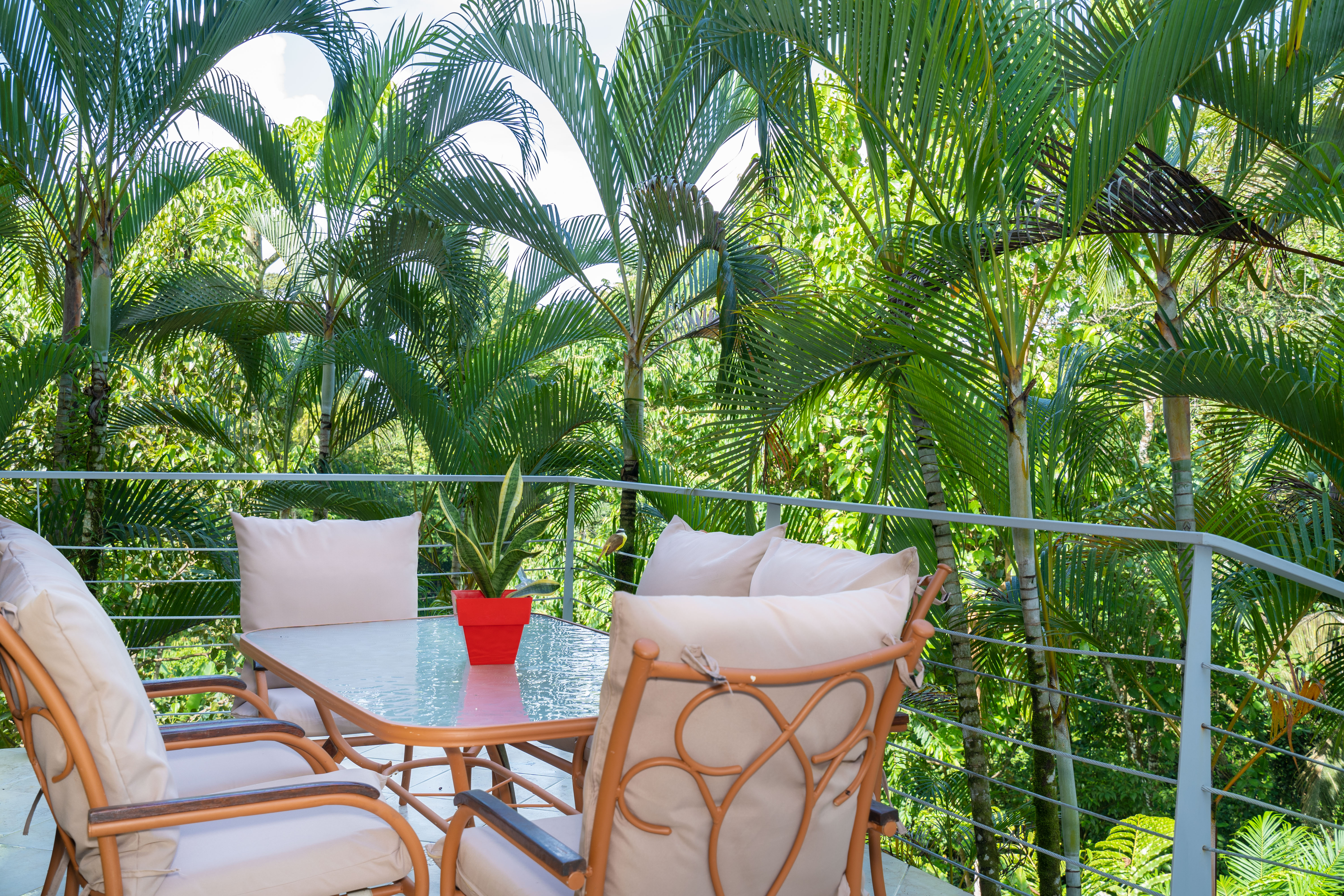 3 bed Single Family Homes For Sale in Quepos, Puntarenas - thumb 12