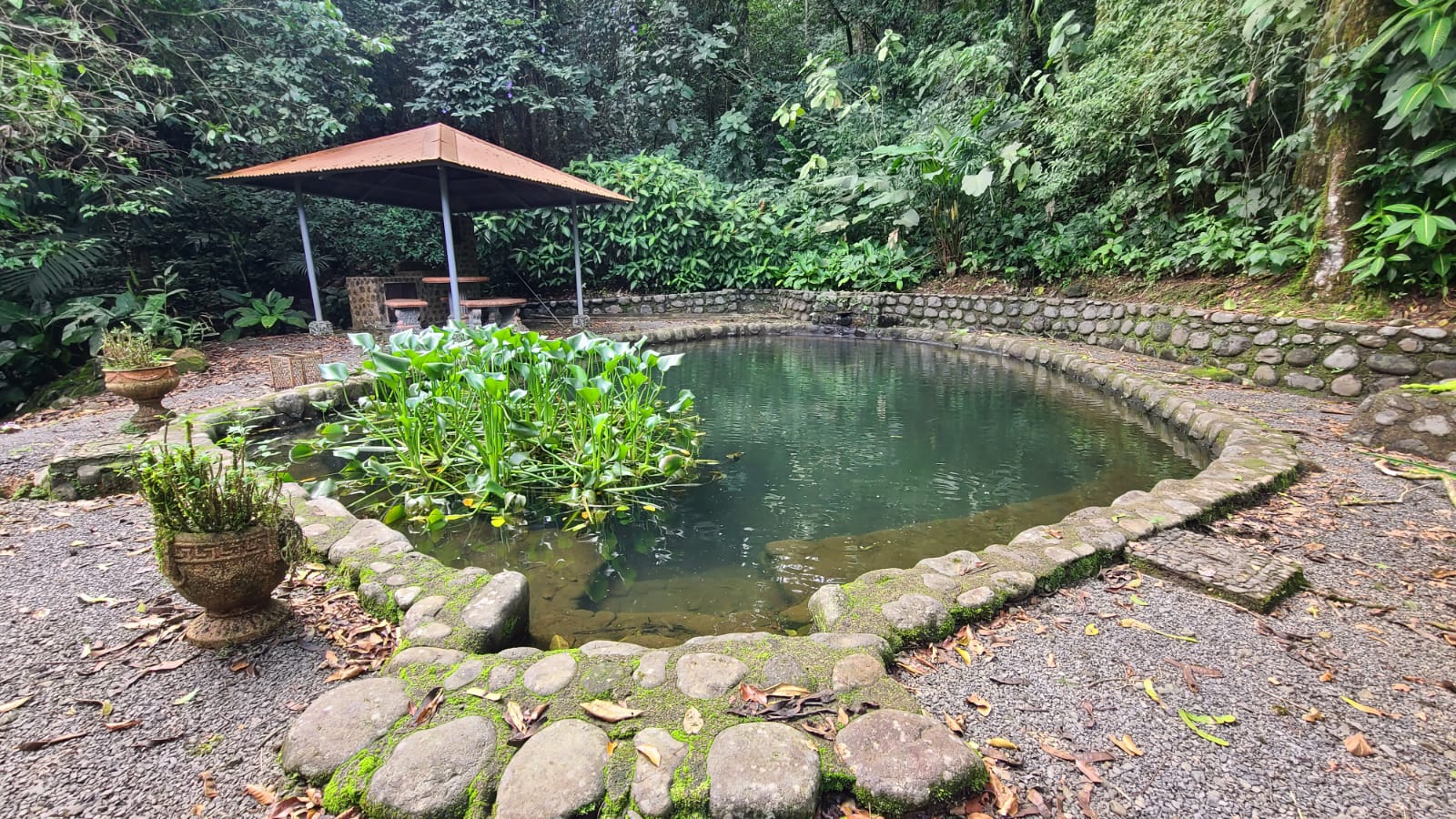 4 bed Land For Sale in San Ramon, Alajuela - thumb 26