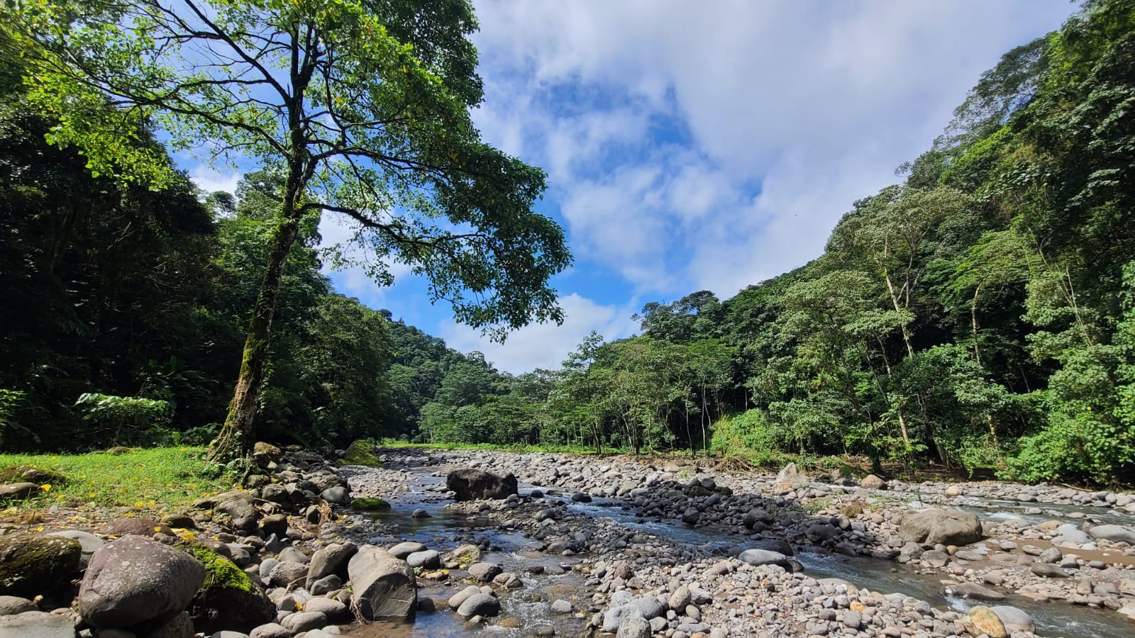 4 bed Land For Sale in San Ramon, Alajuela - thumb 15