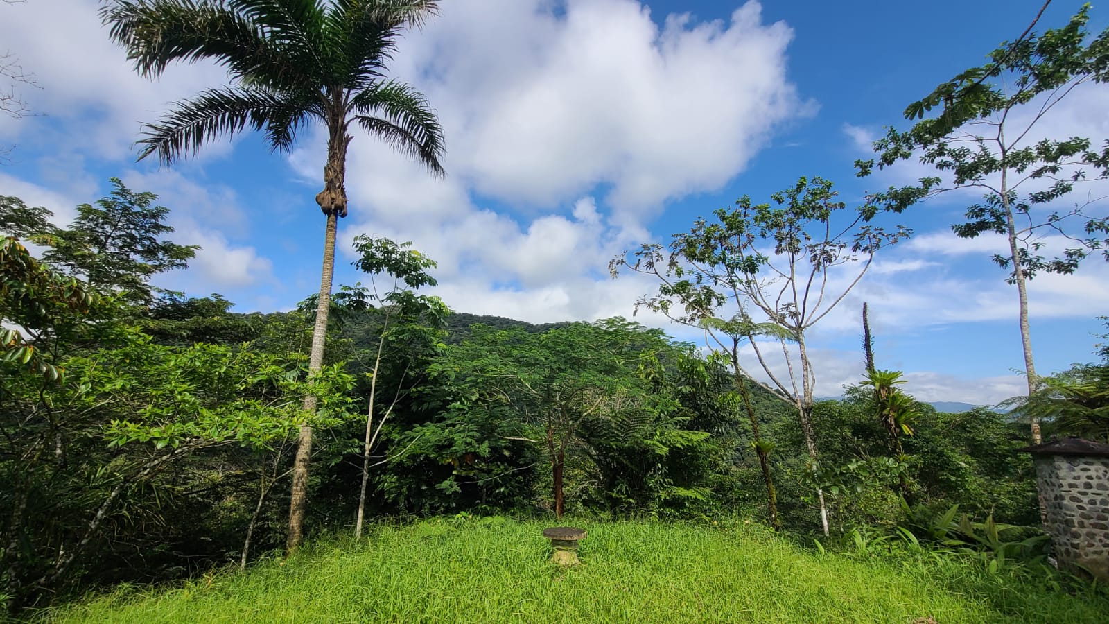 4 bed Land For Sale in San Ramon, Alajuela - thumb 9