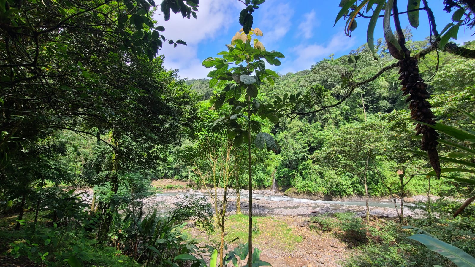 4 bed Land For Sale in San Ramon, Alajuela - thumb 18