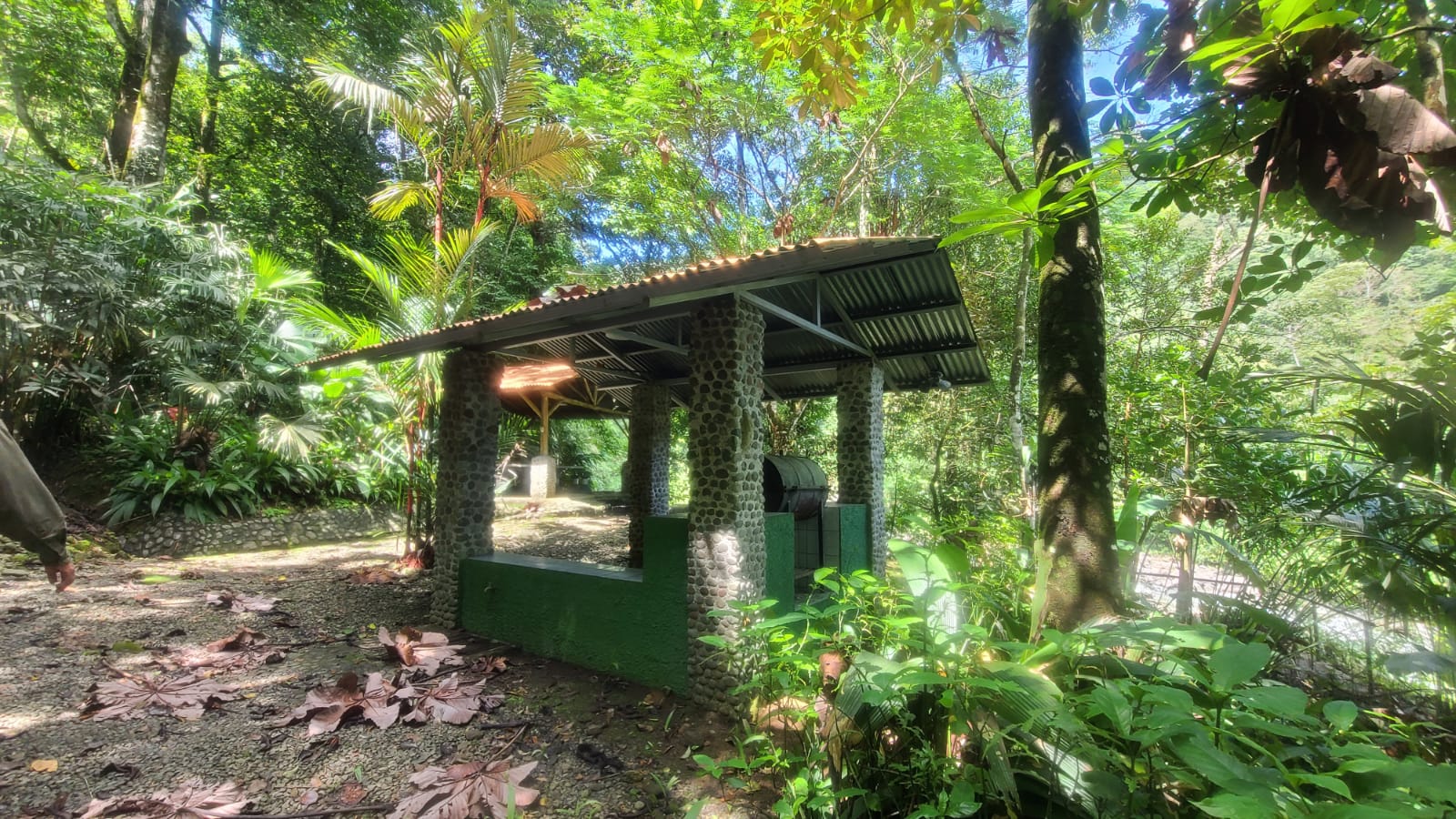 4 bed Land For Sale in San Ramon, Alajuela - thumb 22