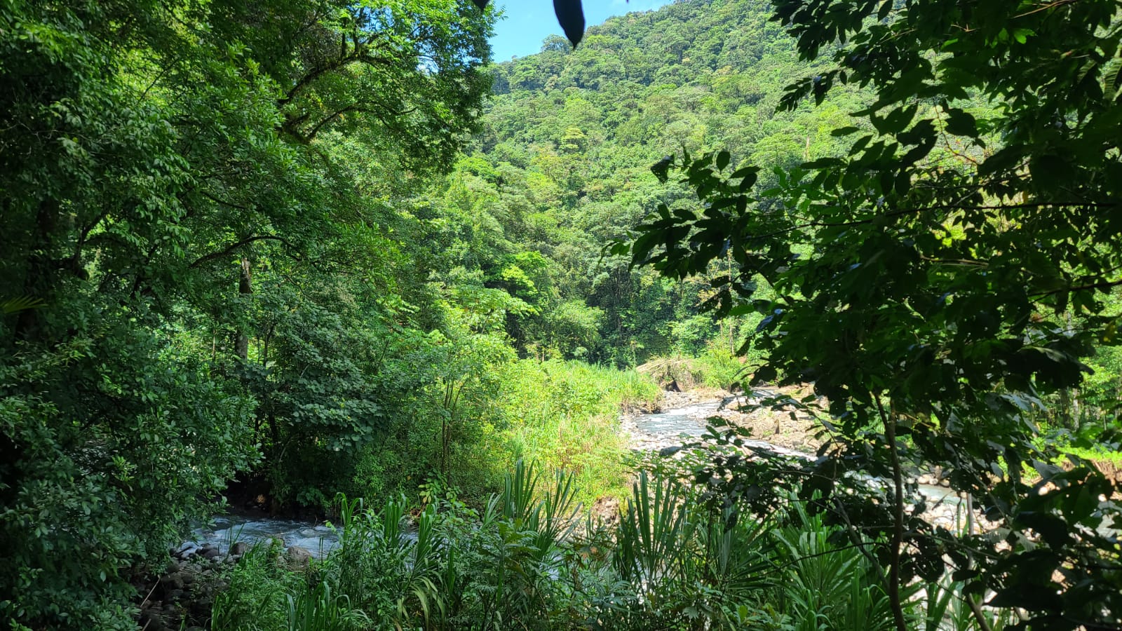 4 bed Land For Sale in San Ramon, Alajuela - thumb 24