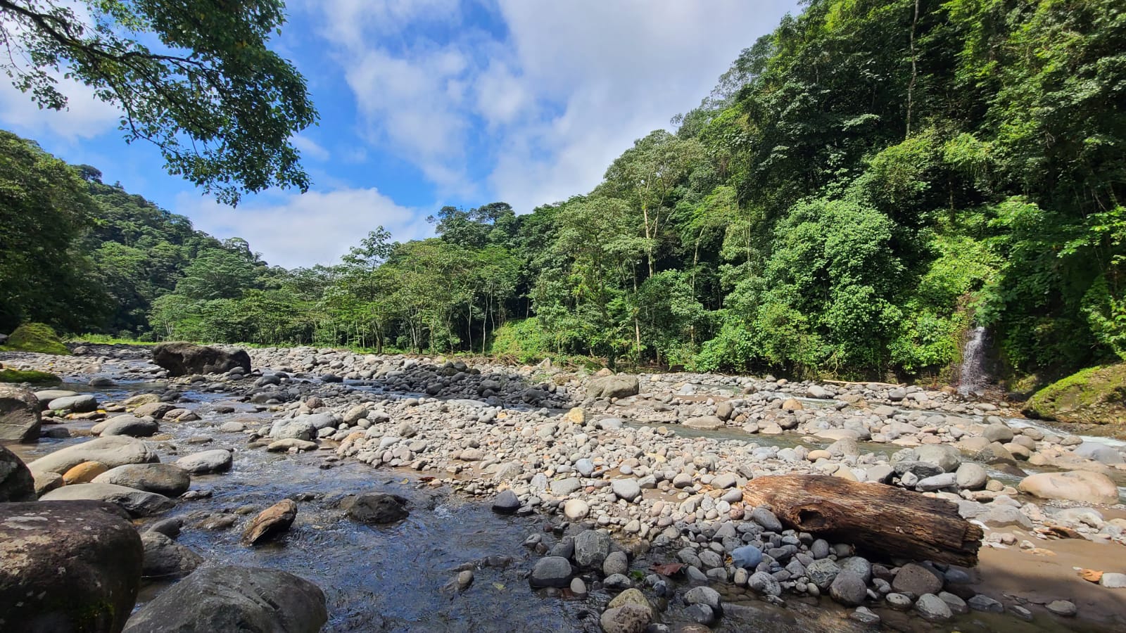 4 bed Land For Sale in San Ramon, Alajuela - thumb 17