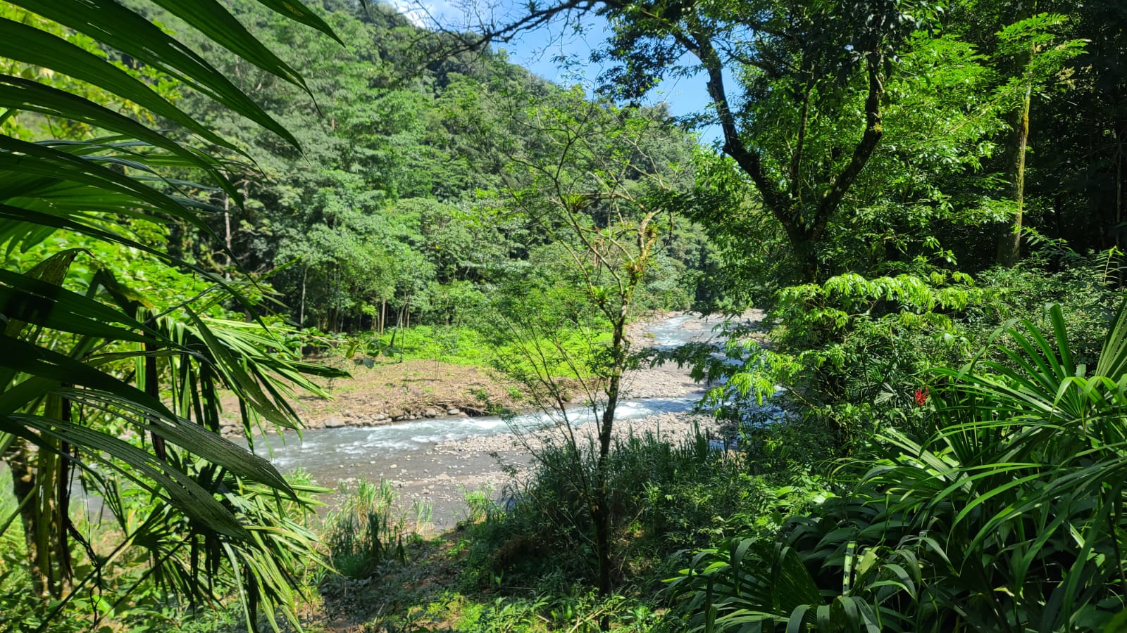 4 bed Land For Sale in San Ramon, Alajuela - thumb 25