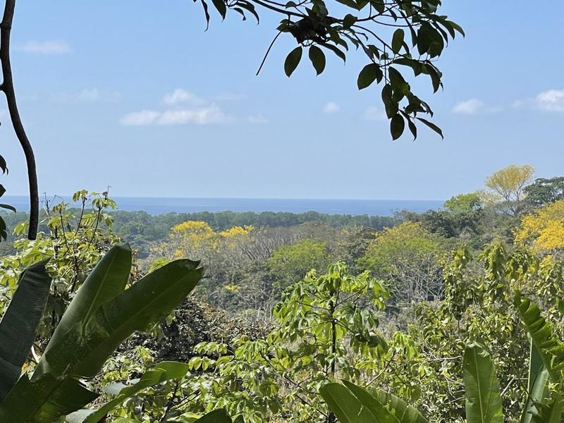 0 bed Land For Sale in Savegre, Puntarenas - 1