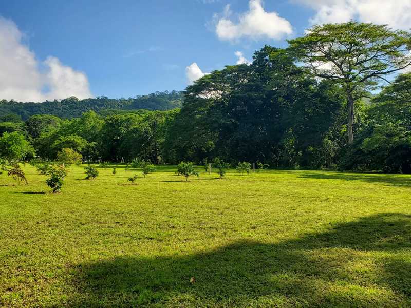 0 bed Land For Sale in Herradura, Puntarenas - 1
