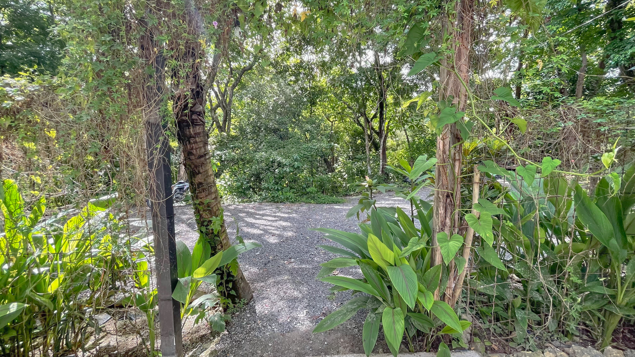 4 bed Single Family Homes For Sale in Santa Teresa, Puntarenas - thumb 20