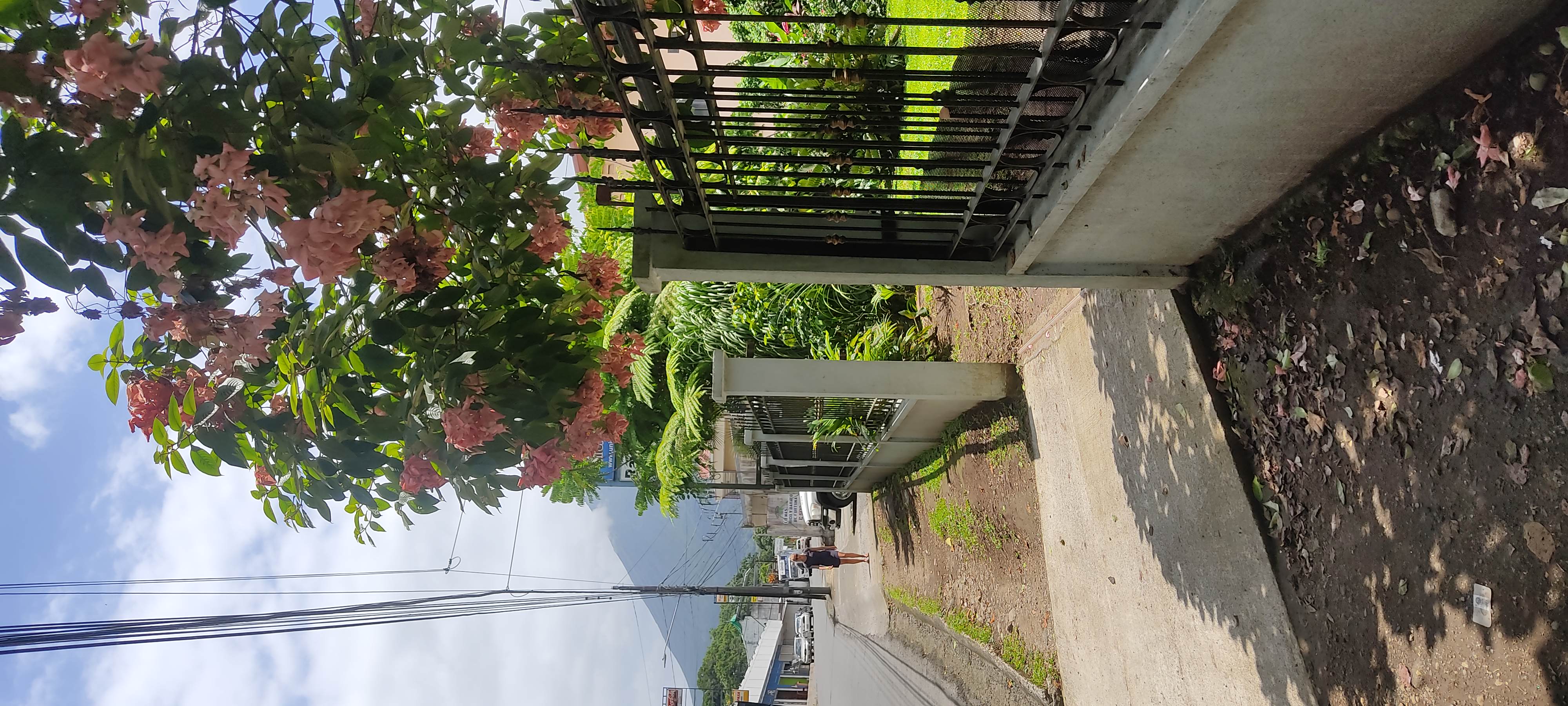 2 bed Single Family Homes For Sale in La Fortuna, Alajuela - thumb 9