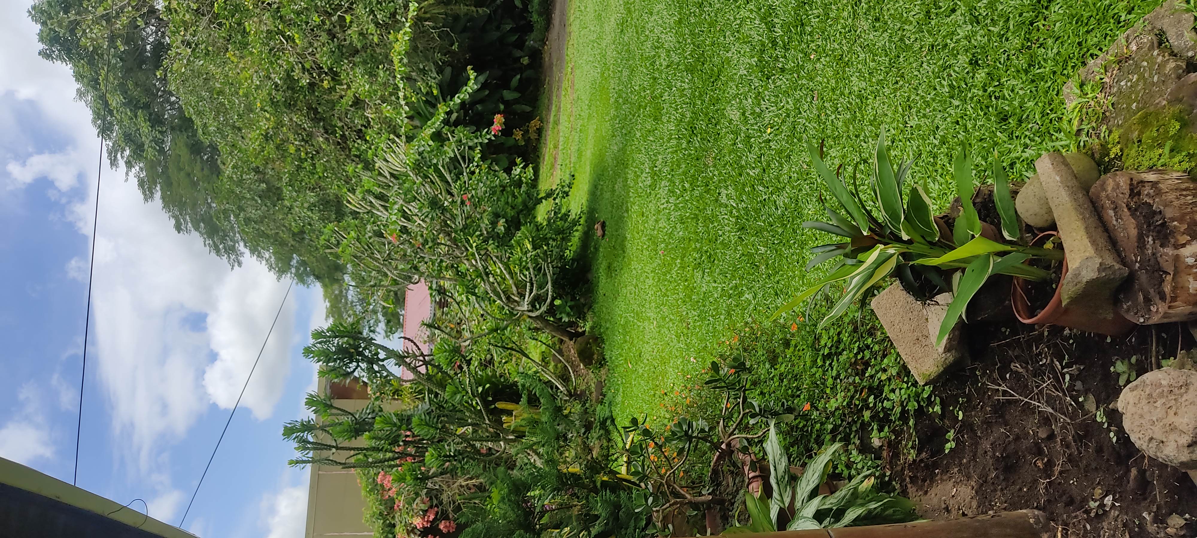 2 bed Single Family Homes For Sale in La Fortuna, Alajuela - thumb 8