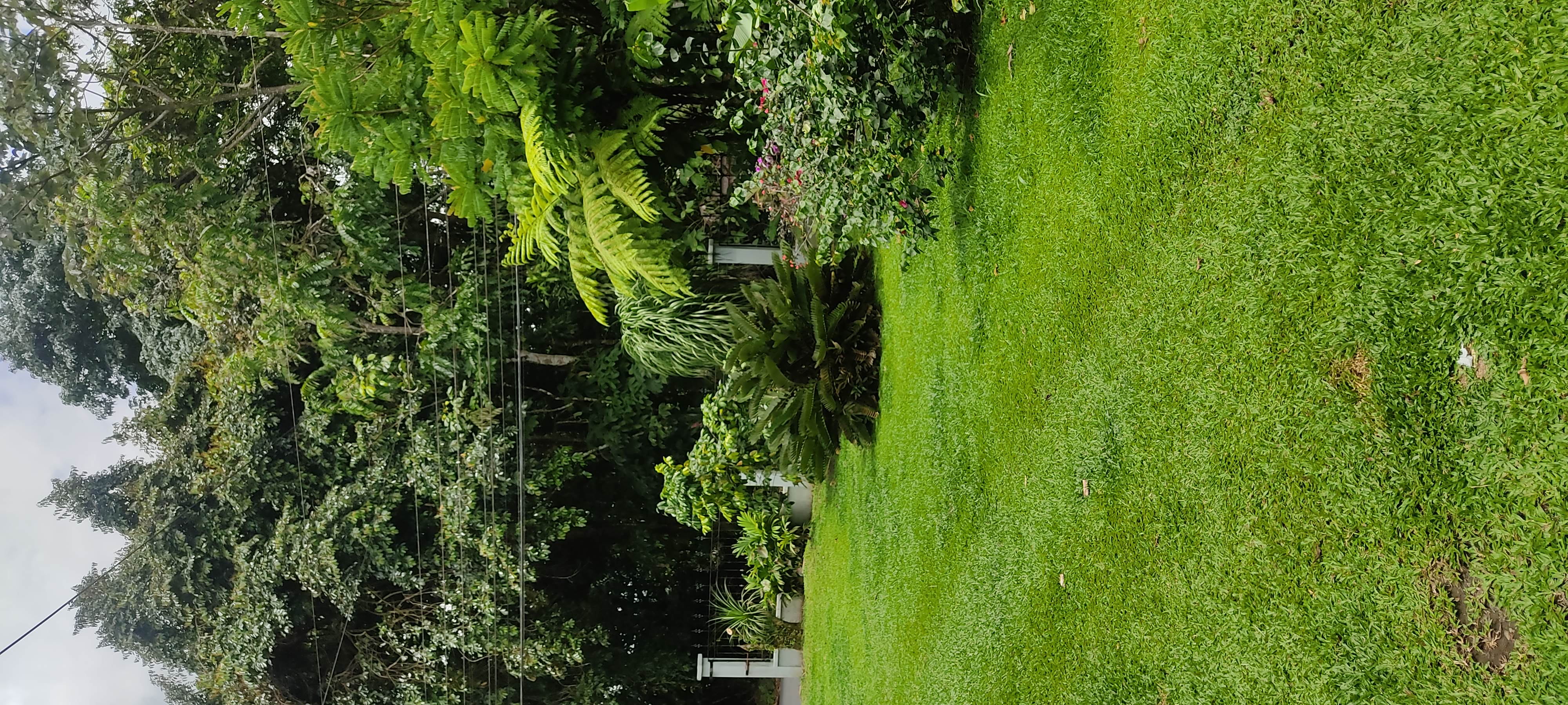 2 bed Single Family Homes For Sale in La Fortuna, Alajuela - thumb 1