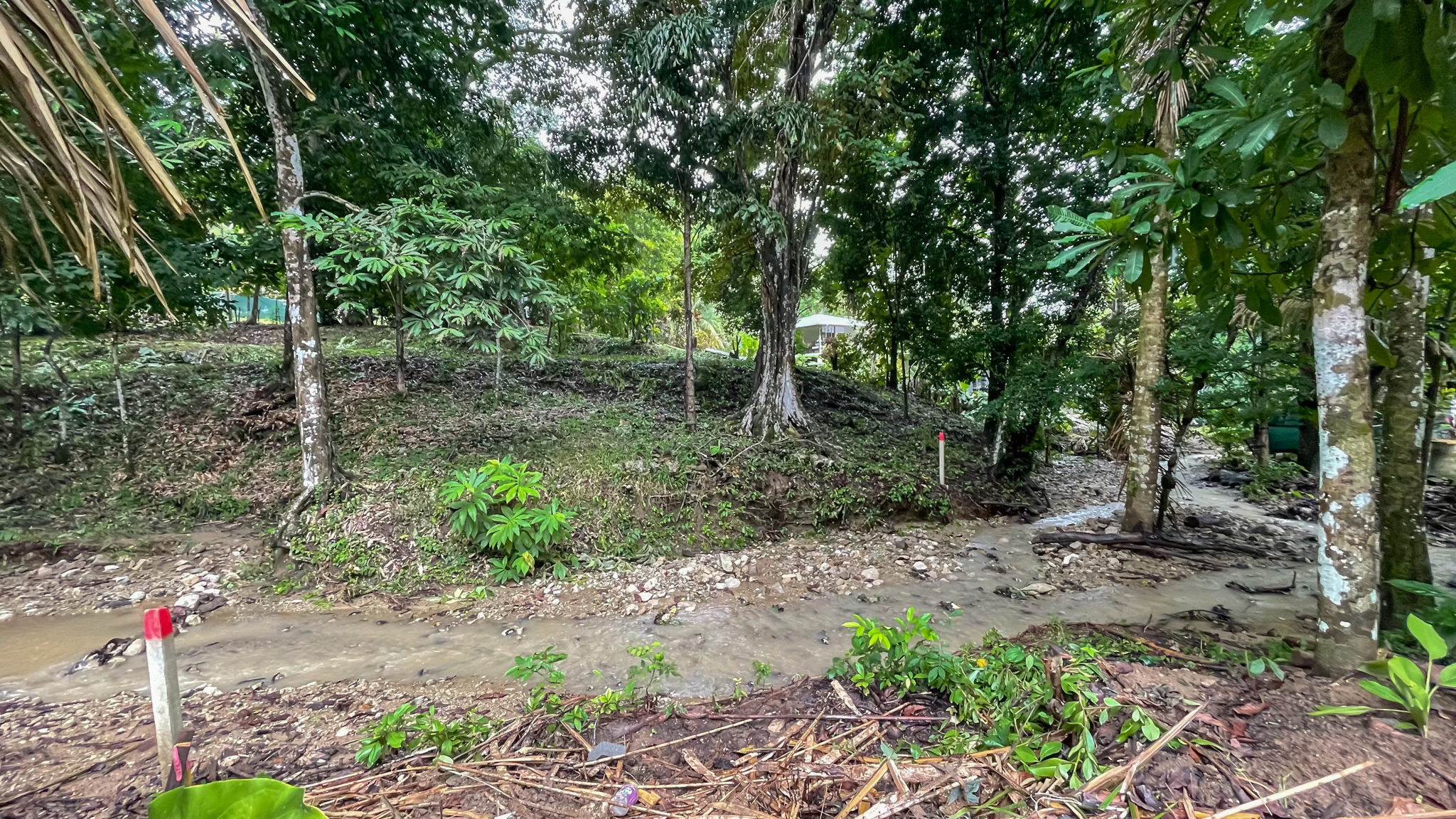 0 bed Land For Sale in Santa Teresa, Puntarenas - thumb 2
