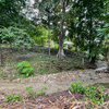  - Great Opportunity Lot Walking Distance to the beach in North Santa Teresa