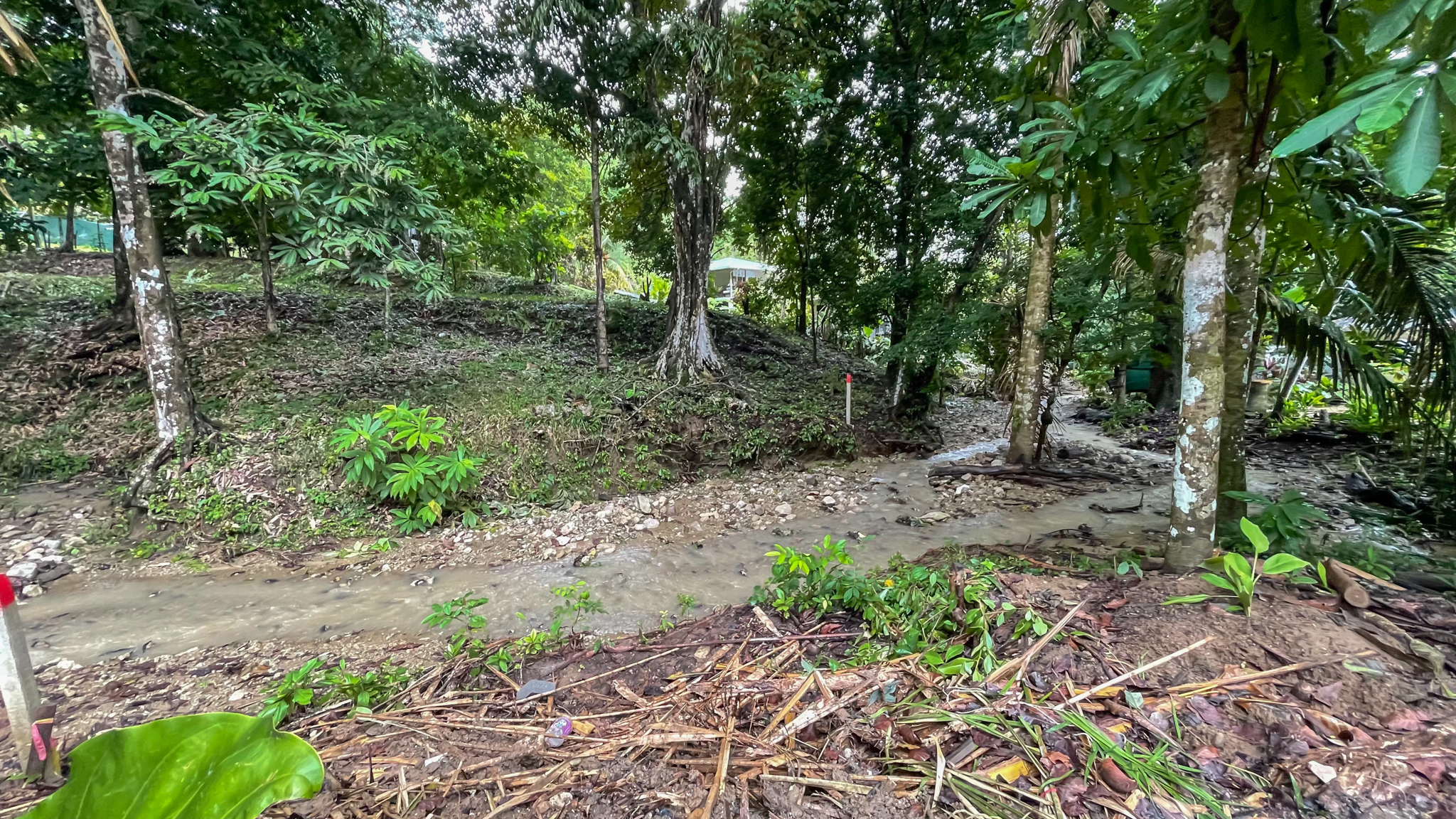 0 bed Land For Sale in Santa Teresa, Puntarenas - thumb 3