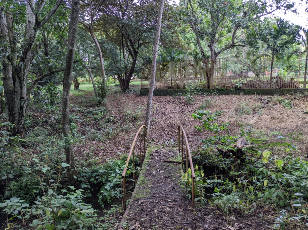 0 bed Land For Sale in Orotina, Alajuela - thumb 12