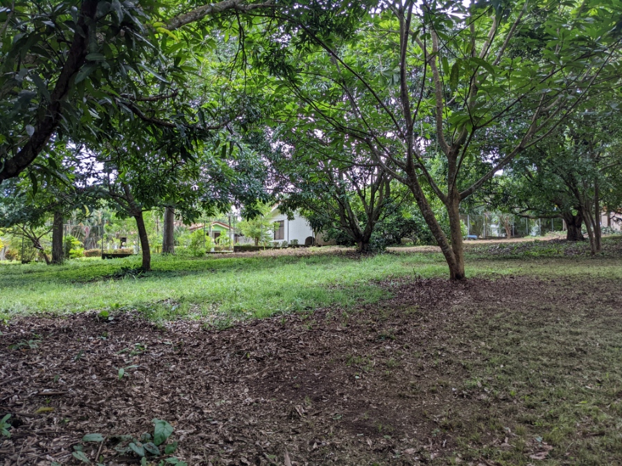 0 bed Land For Sale in Orotina, Alajuela - thumb 3