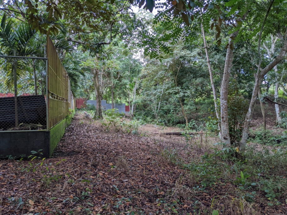 0 bed Land For Sale in Orotina, Alajuela - thumb 9