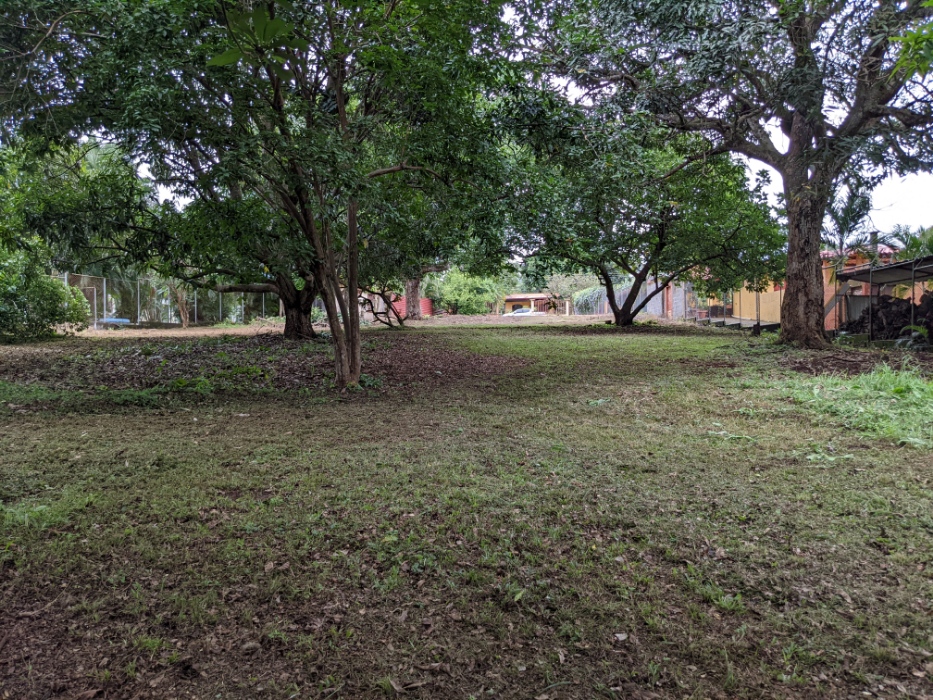 0 bed Land For Sale in Orotina, Alajuela - thumb 14