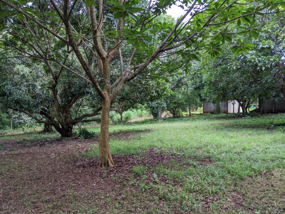 0 bed Land For Sale in Orotina, Alajuela - thumb 7