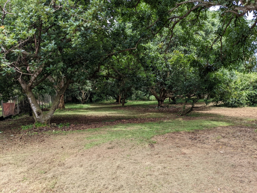 0 bed Land For Sale in Orotina, Alajuela - thumb 5