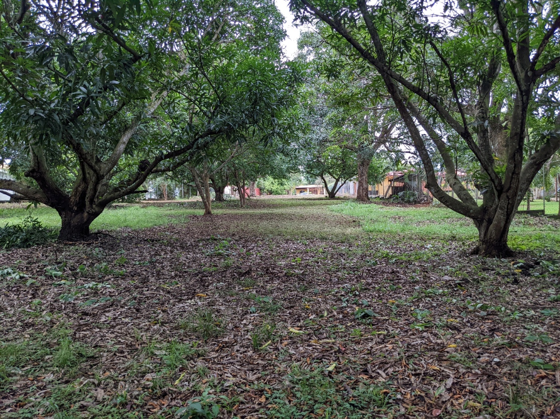 0 bed Land For Sale in Orotina, Alajuela - thumb 13