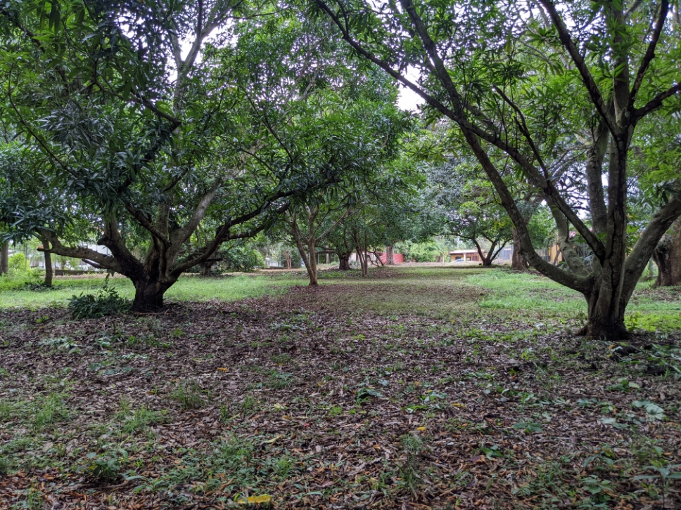 0 bed Land For Sale in Orotina, Alajuela - thumb 8