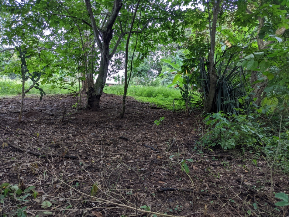 0 bed Land For Sale in Orotina, Alajuela - thumb 11