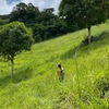  - Riverfront Farm Above Uvita with Swimming Holes, Waterfalls, and Ocean Views