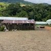  - Riverfront Farm Above Uvita with Swimming Holes, Waterfalls, and Ocean Views