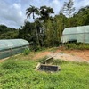  - Riverfront Farm Above Uvita with Swimming Holes, Waterfalls, and Ocean Views